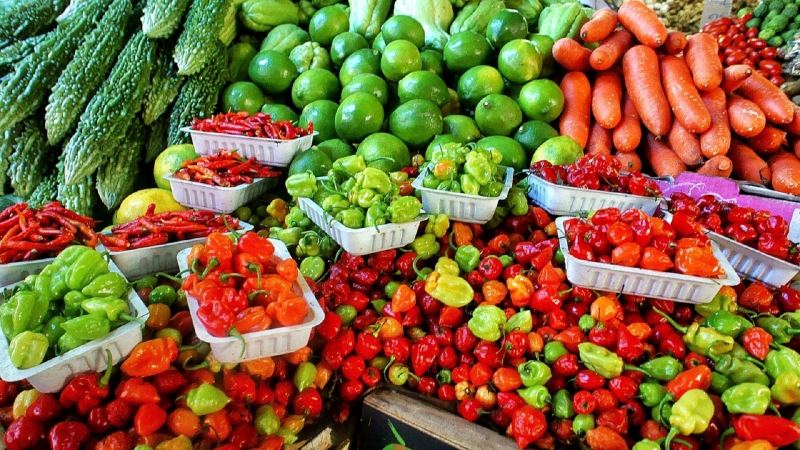 primeur-LA CROIX VALMER-min_farmers-market-1329008